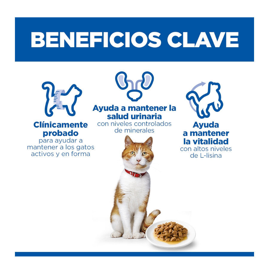 85 g Hill's Young Adult Science Plan Sterilized Frango saqueta para gatos, , large Imagem n&uacute;mero 4