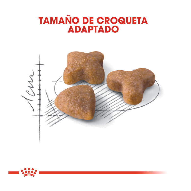 12 kg (10 + 2 kg grátis!) Royal Canin Regular Sensible 33 ração para gatos,  Imagem número 3 12 kg (10 + 2 kg grátis!) Royal Canin Regular Sensible 33 ração para gatos, , large Imagem número 3