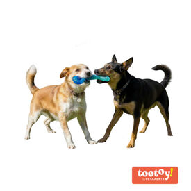 Tootoy! Chew Mordedor pegar e puxar para c&atilde;es