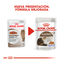 48 saquetas x 85 g Royal Canin Ageing 12+ gelatina saquetas para gatos Pack poupança!, , large Indicador imagem número 3