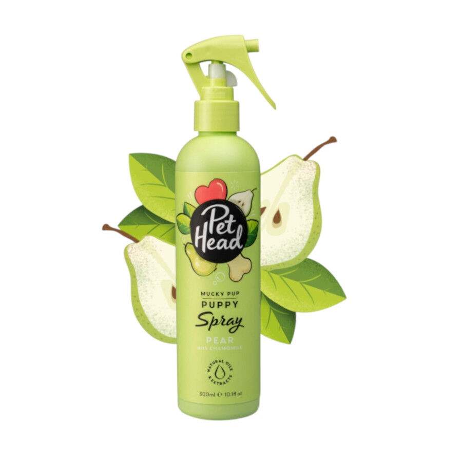 Pet Head Champ&ocirc; seco p&ecirc;ra para c&atilde;es 300ml, , large Imagem n&uacute;mero 1