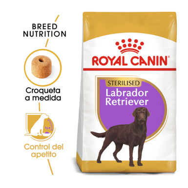 Royal Canin Adult Labrador Sterilised ração para cães