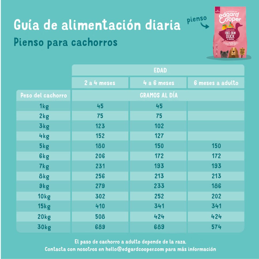 Edgard & Cooper ra&ccedil;&atilde;o Pato e Frango para cachorros, , large Imagem n&uacute;mero 6