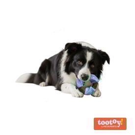 Tootoy! Chew Mordedor anel dentário para cães