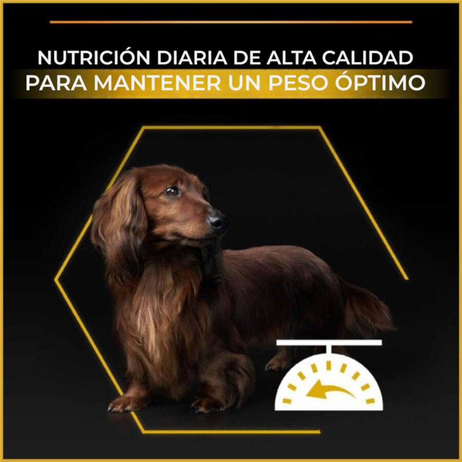 Purina Pro Plan Adult Light Esterilizado Pienso Pollo para perros, , large Imagem n&uacute;mero 3