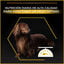 Purina Pro Plan Adult Light Esterilizado Pienso Pollo para perros, , large Indicador imagem n&uacute;mero 3