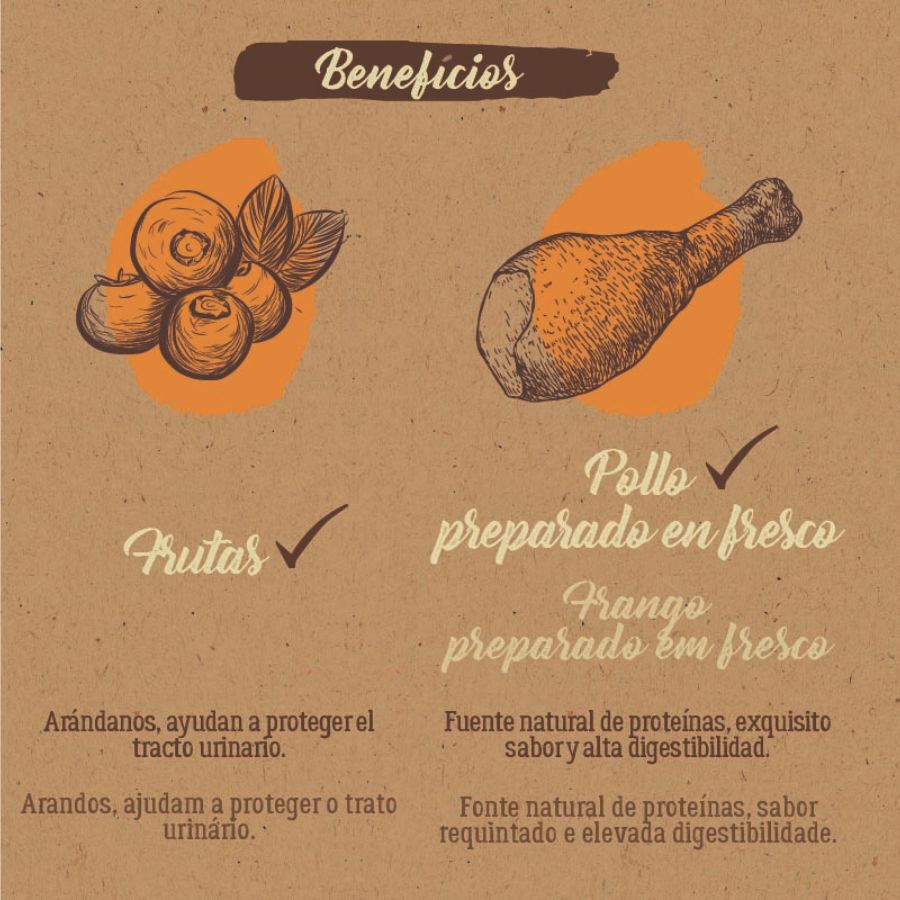 2 kg Ra&ccedil;&atilde;o para gatos True Origins Pure Senior Chicken, , large Imagem n&uacute;mero 5