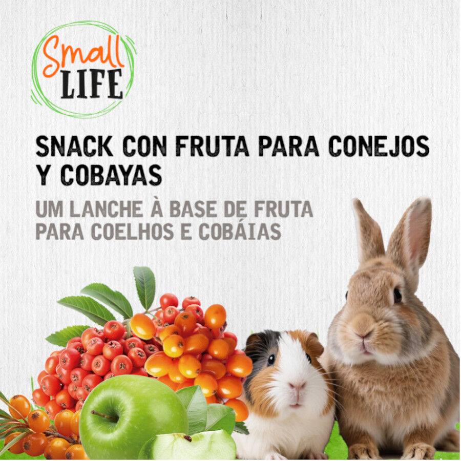2 barritas Small Life Barritas Snack com Fruta para coelhos e Porquinhos da &Iacute;ndia, , large Imagem n&uacute;mero 4