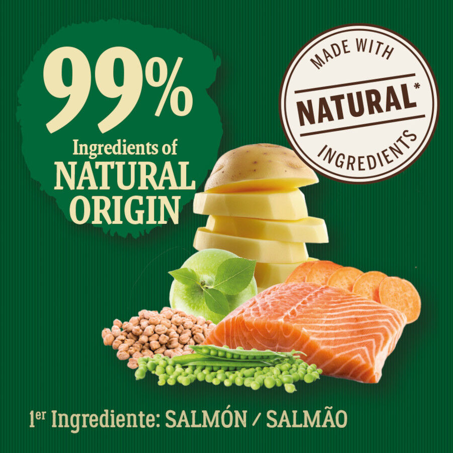 6 kg True Origins Wild Esterilizado Pacific Salm&atilde;o ra&ccedil;&atilde;o para gatos, , large Imagem n&uacute;mero 3
