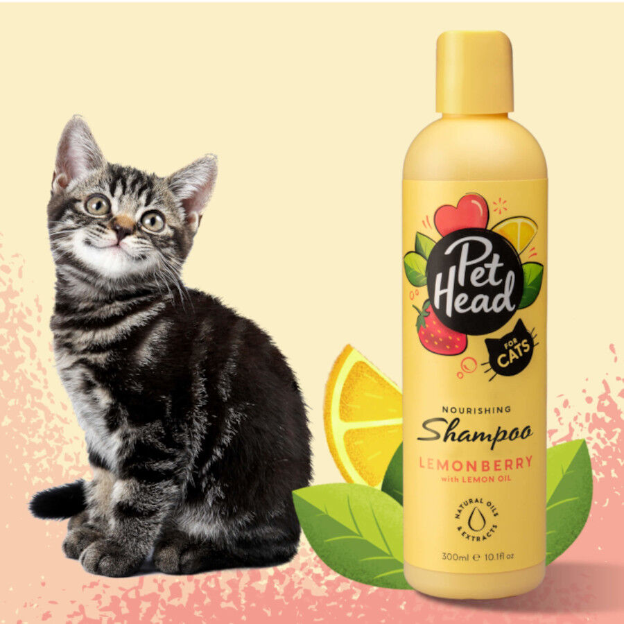 Pet Head Shampoo para gato 300ml, , large Imagem n&uacute;mero 2