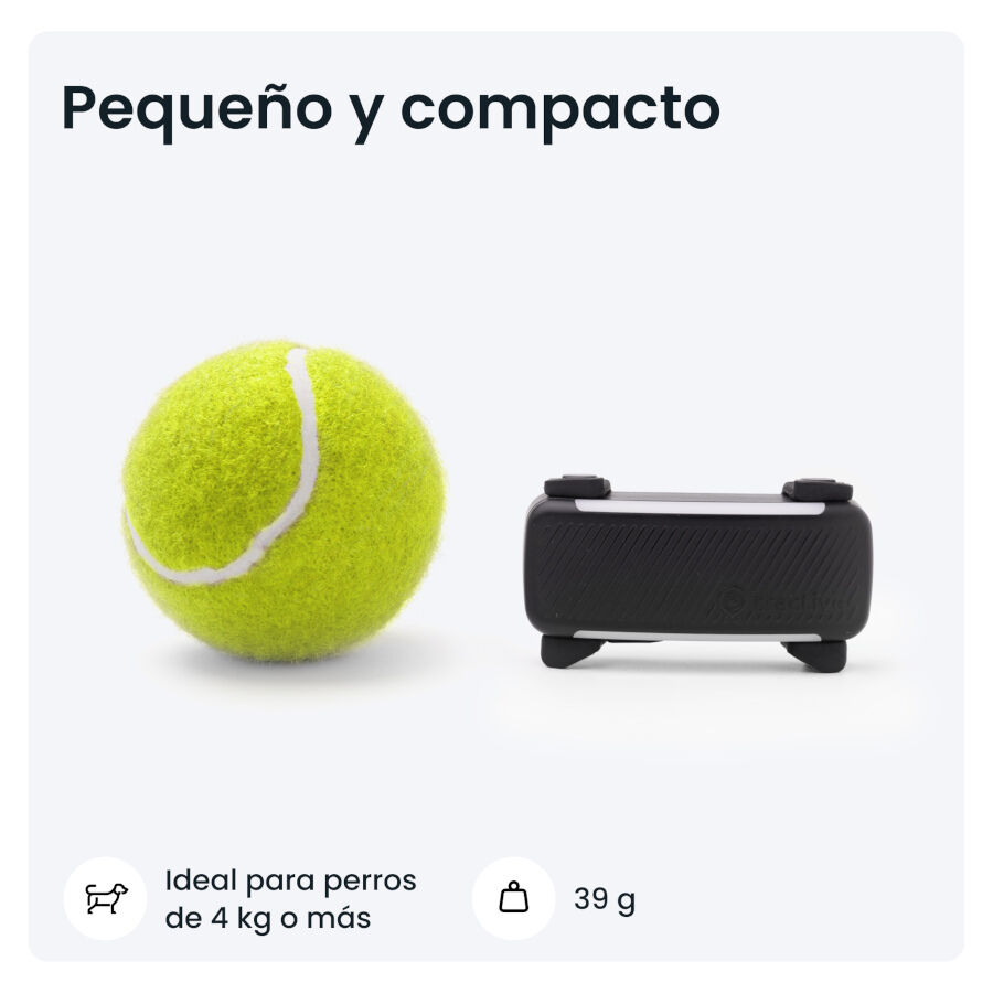 Trative GPS Dog 6 Rastreador de c&atilde;es preto, , large Imagem n&uacute;mero 6