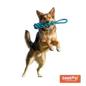 Tootoy! Pull Mordedor de corda para c&atilde;es