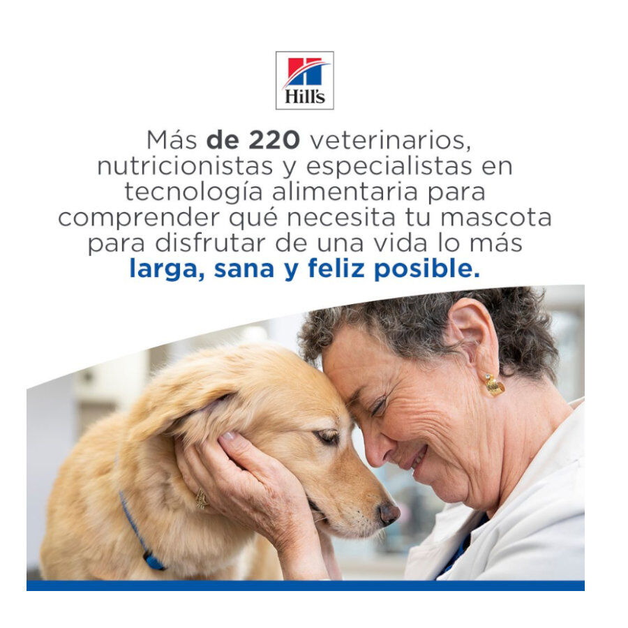 Hill's Science Plan Hipoalerg&eacute;nico Small e Mini Salm&atilde;o ra&ccedil;&atilde;o para c&atilde;es , , large Imagem n&uacute;mero 10