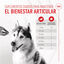 Royal Canin Joint & Ageing Chews Suplemento Nutricional para cães com sensibilidade articular, , large Indicador imagem número 5