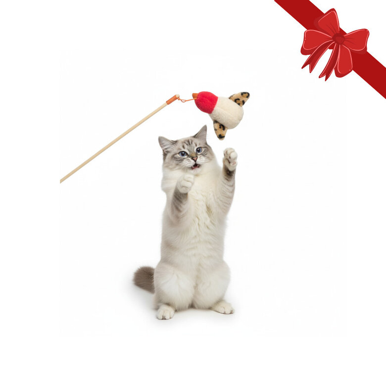 Wonder Christmas Vara com Brinquedo de Natal para Gatos,  Imagem número 1 Wonder Christmas Vara com Brinquedo de Natal para Gatos, , large Imagem número 1