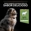 12 kg Pro Plan Puppy  Medium Digestão Cordeiroração para cães, , large Indicador imagem número 7