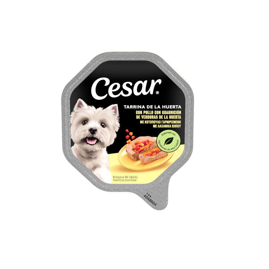 150 g Cesar Recetas da horta terrina em pat&ecirc; para c&atilde;es, , large Imagem n&uacute;mero 1