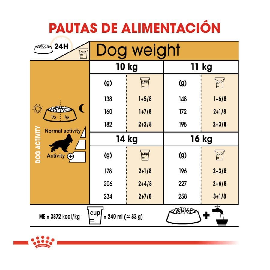 12 kg Royal Canin Adult Cocker ra&ccedil;&atilde;o para c&atilde;es, , large Imagem n&uacute;mero 8