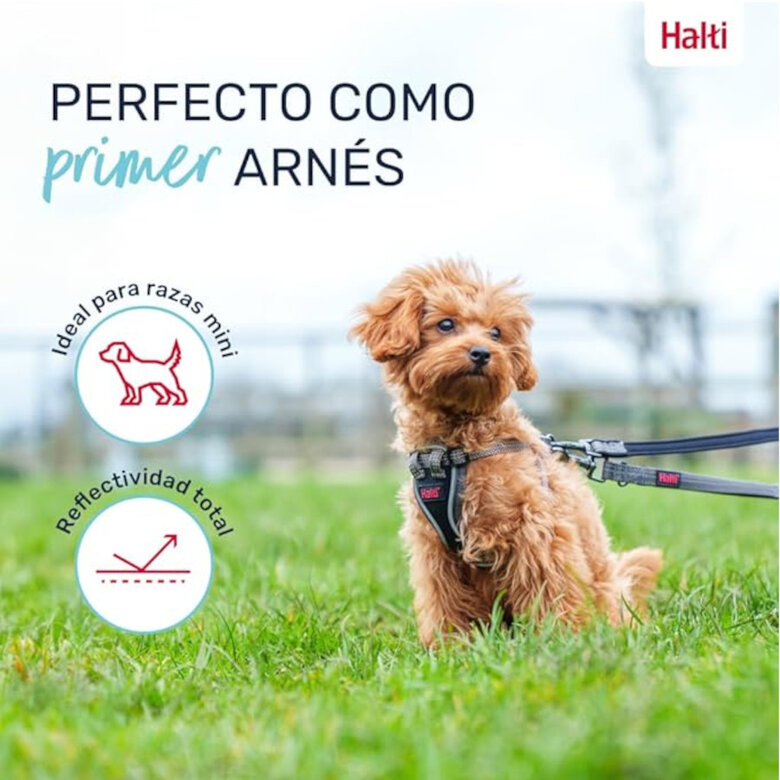 Halti Peitoral Anatómico Cinza para Cães Pequenos,  Imagem número 3 Halti Peitoral Anatómico Cinza para Cães Pequenos, , large Imagem número 3