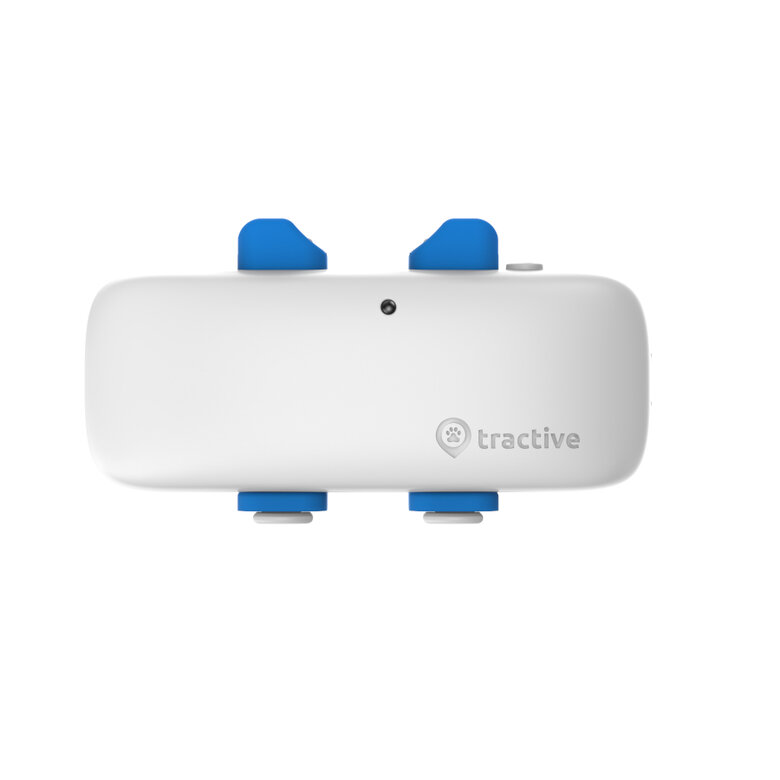 Tractive Localizador GPS para cães,  Imagem número 4 Tractive Localizador GPS para cães, , large Imagem número 4