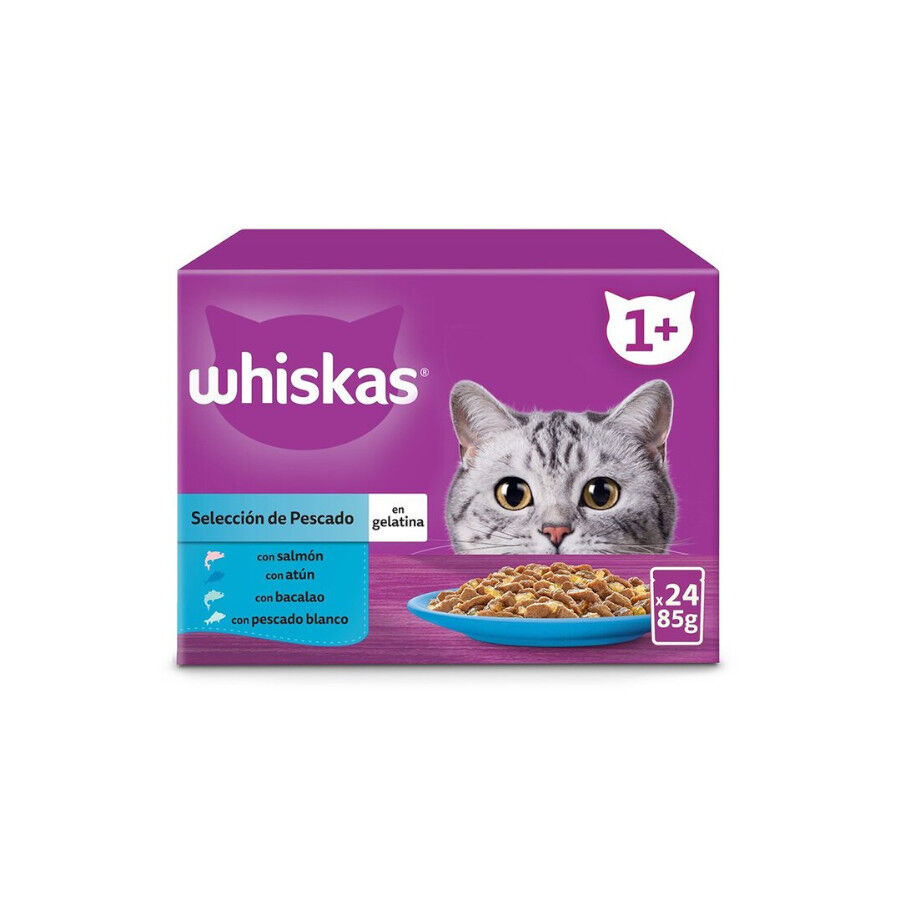 24 saquetas x 85 g Whiskas Sele&ccedil;&atilde;o Peixes Gelatina em Sache para Gatos Adultos, , large Imagem n&uacute;mero 2