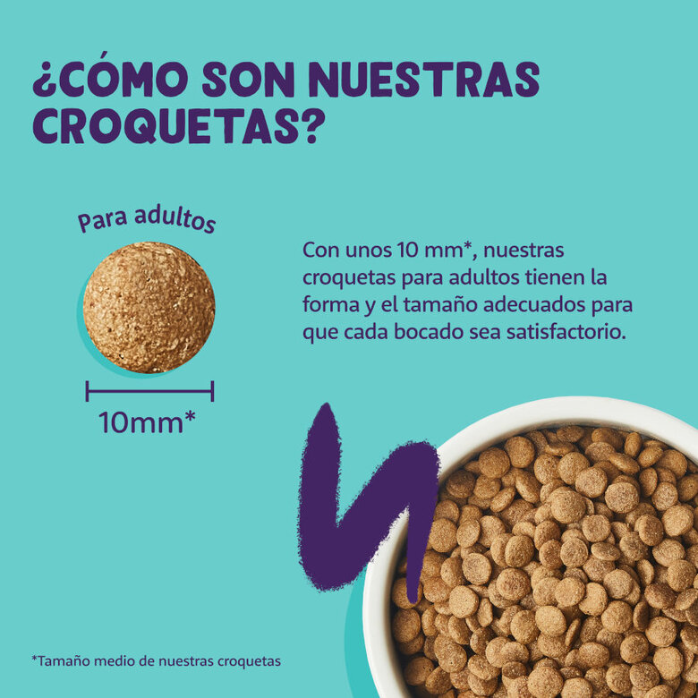 2 kg Edgard & Cooper Adult Ração de peru e frango para gatos ,  Imagem número 4 2 kg Edgard & Cooper Adult Ração de peru e frango para gatos , , large Imagem número 4