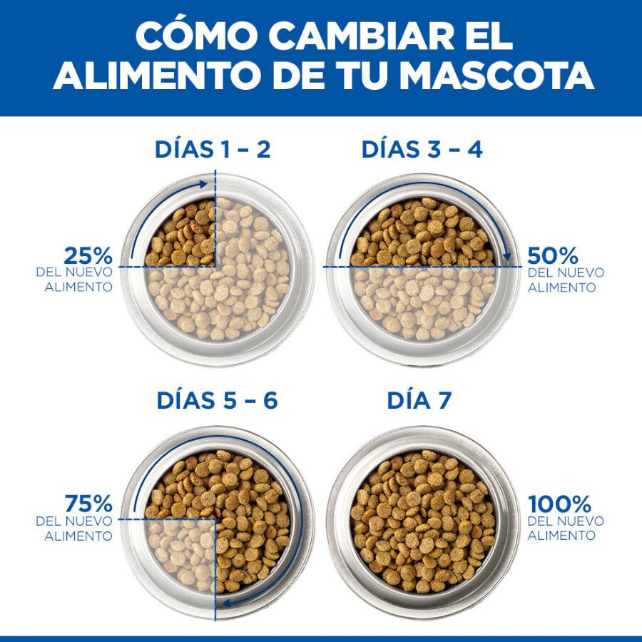 363 g  Hill's Science Plan Puppy Estufado com frango e legumes Lata para c&atilde;es, , large Imagem n&uacute;mero 8