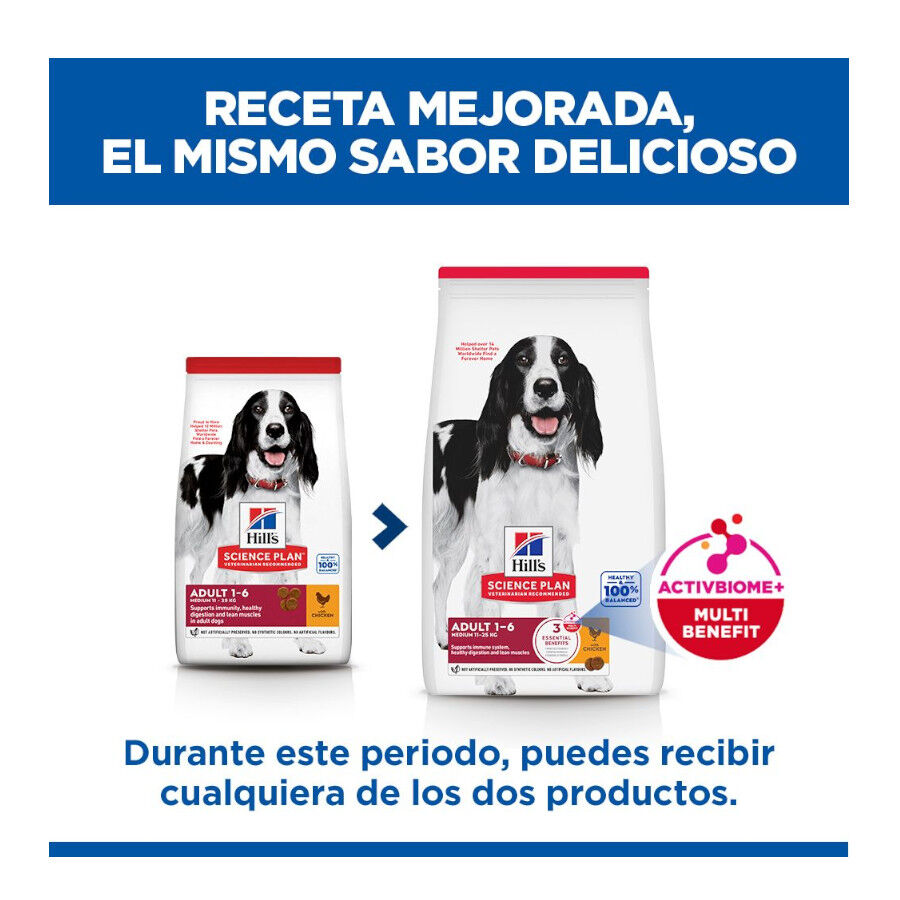 14 kg Hill's Science Plan Adult Medium Frango ra&ccedil;&atilde;o para c&atilde;es, , large Imagem n&uacute;mero 3