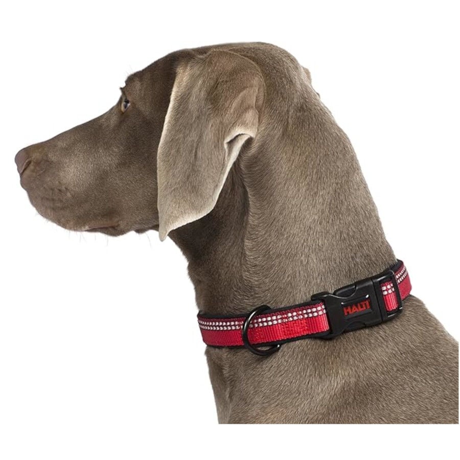 Halti Coleira confort&aacute;vel vermelha para c&atilde;es, , large Imagem n&uacute;mero 2