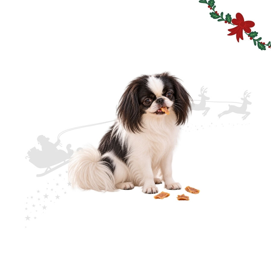 1 pacote Wonder Christmas Peda&ccedil;os de Frango Snacks para C&atilde;es, , large Imagem n&uacute;mero 1
