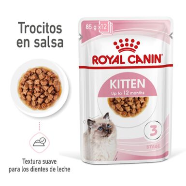 Royal Canin Kitten Sterilised saqueta em molho para gatos - Pack 12 