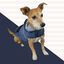 Outech Capa de chuva azul-marinho com bolso para cães, , large Indicador imagem número 2