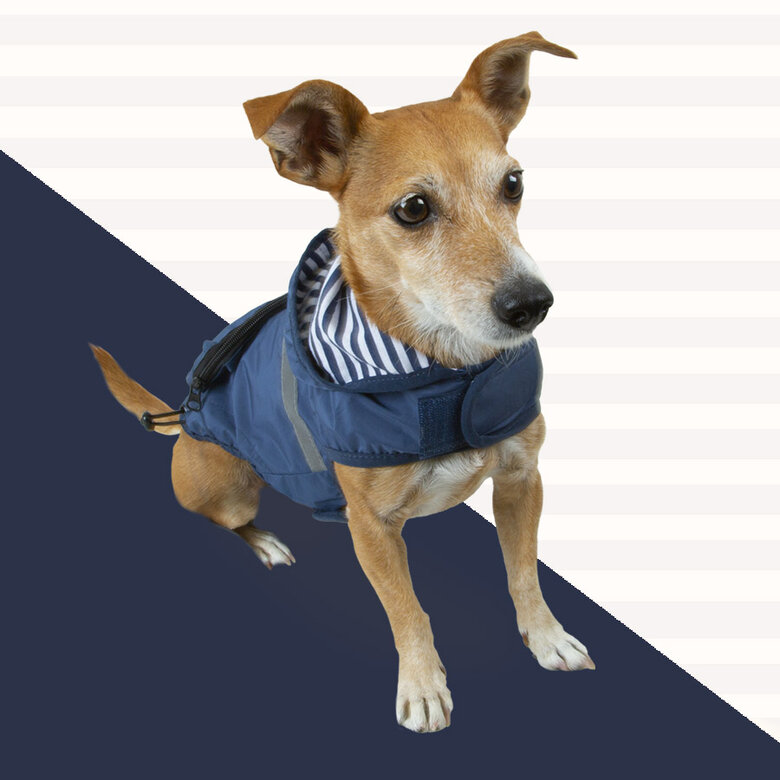 Outech Capa de chuva azul-marinho com bolso para cães,  Imagem número 2 Outech Capa de chuva azul-marinho com bolso para cães, , large Imagem número 2