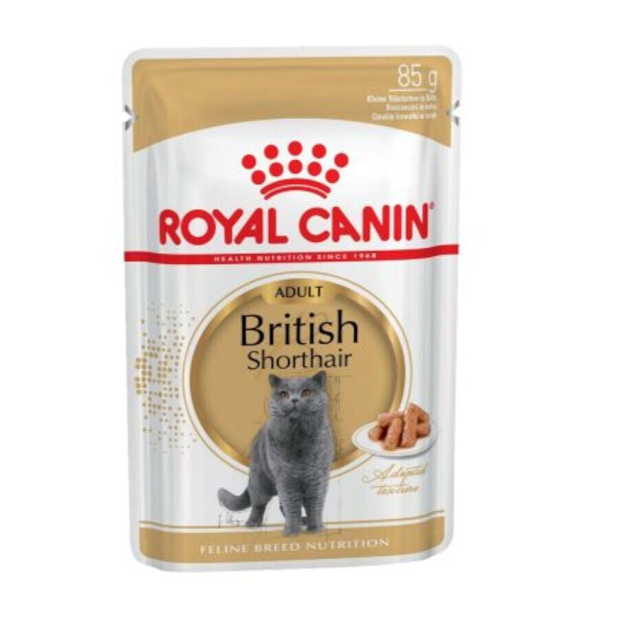 85 g Royal Canin comida h&uacute;mida British Shorthair Adult, , large Imagem n&uacute;mero 1