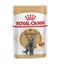 85 g Royal Canin comida húmida British Shorthair Adult, , large Indicador imagem número 1