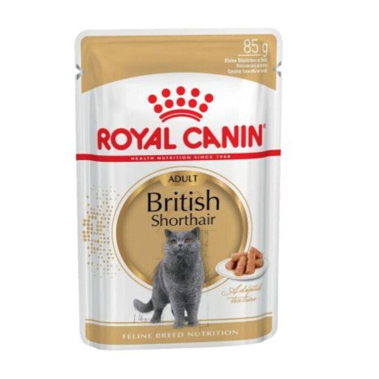 85 g Royal Canin comida húmida British Shorthair Adult,  Imagem número 1 85 g Royal Canin comida húmida British Shorthair Adult, , large Imagem número 1