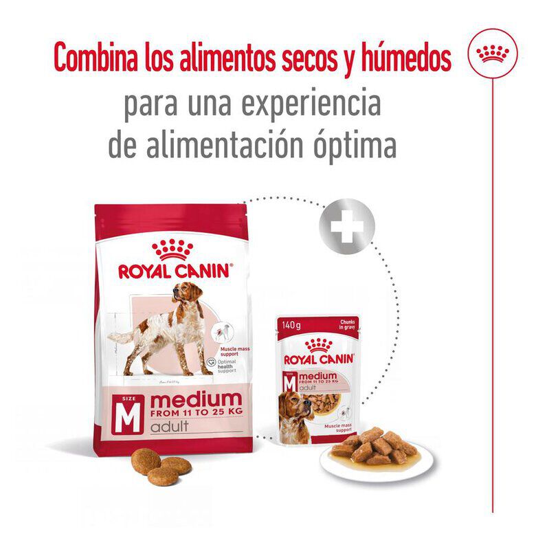 15 kg Royal Canin Medium Adult ra&ccedil;&atilde;o para c&atilde;es, , large Imagem n&uacute;mero 9