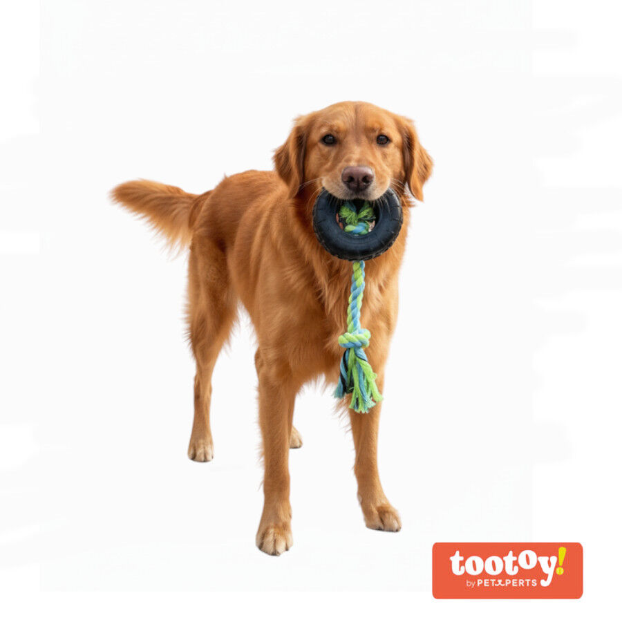 Tootoy! Pull Mordedor pneu de corda pequeno para c&atilde;es, , large Imagem n&uacute;mero 8