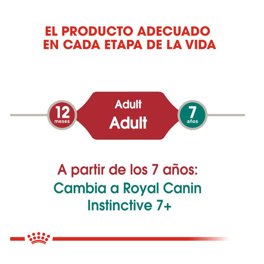 85 g Royal Canin Instinctive alimento h&uacute;mido em molho saquetas para gatos, , large Imagem n&uacute;mero 6