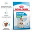 Royal Canin Mini Starter MothereBaby ração para cães, , large Indicador imagem número 2