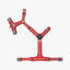 Dog Copenhagen Comfort Walk Air Peitoral Vermelho para cães, , large Indicador imagem número 4