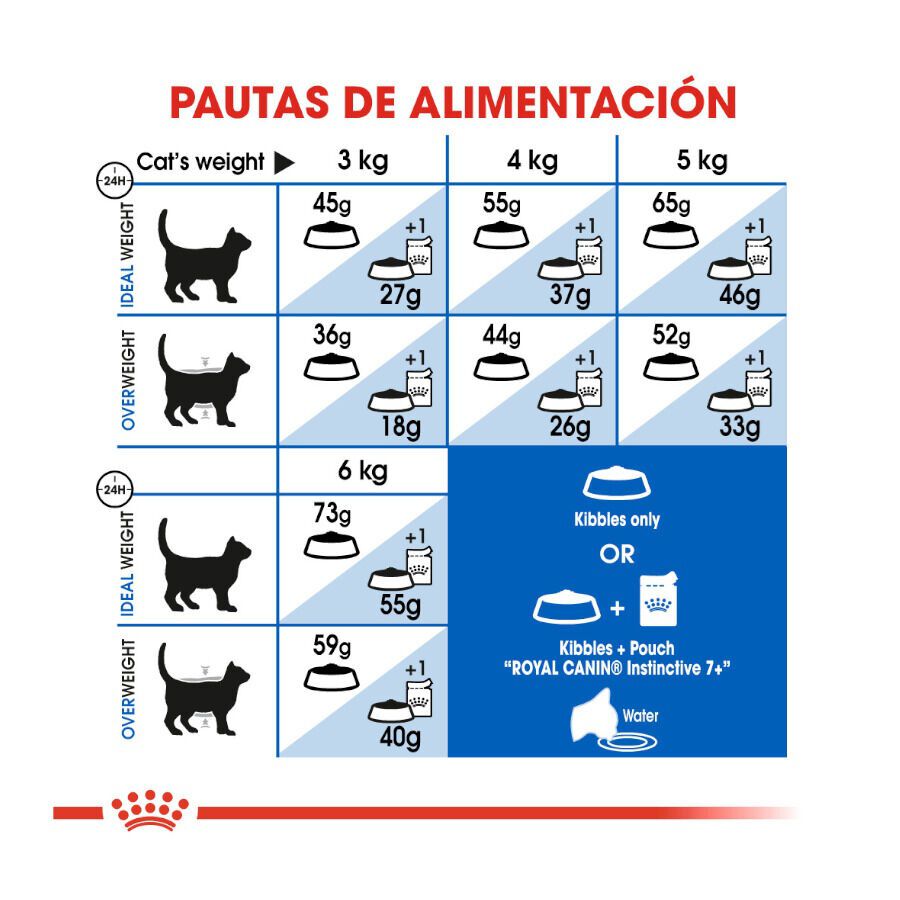 3.5 kg Royal Canin Home Life Indoor 7+ ra&ccedil;&atilde;o para gatos, , large Imagem n&uacute;mero 8