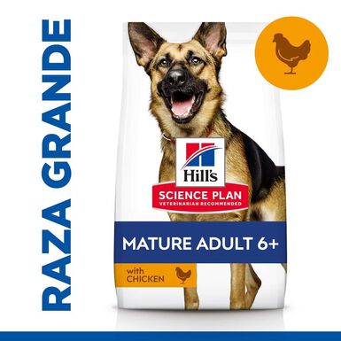 Hill's Science Plan Mature Adult Large Frango ração para cães