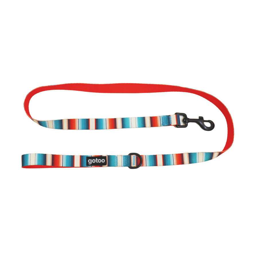 Gotoo Coleira estampada com listras coloridas para c&atilde;es, , large Imagem n&uacute;mero 1