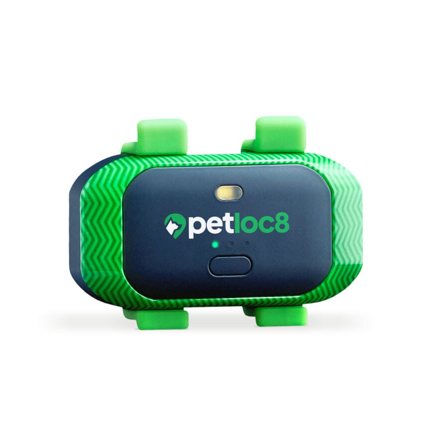 Trackimo Petloc8 4G Rastreador GPS para c&atilde;es e gatos, , large Imagem n&uacute;mero 1