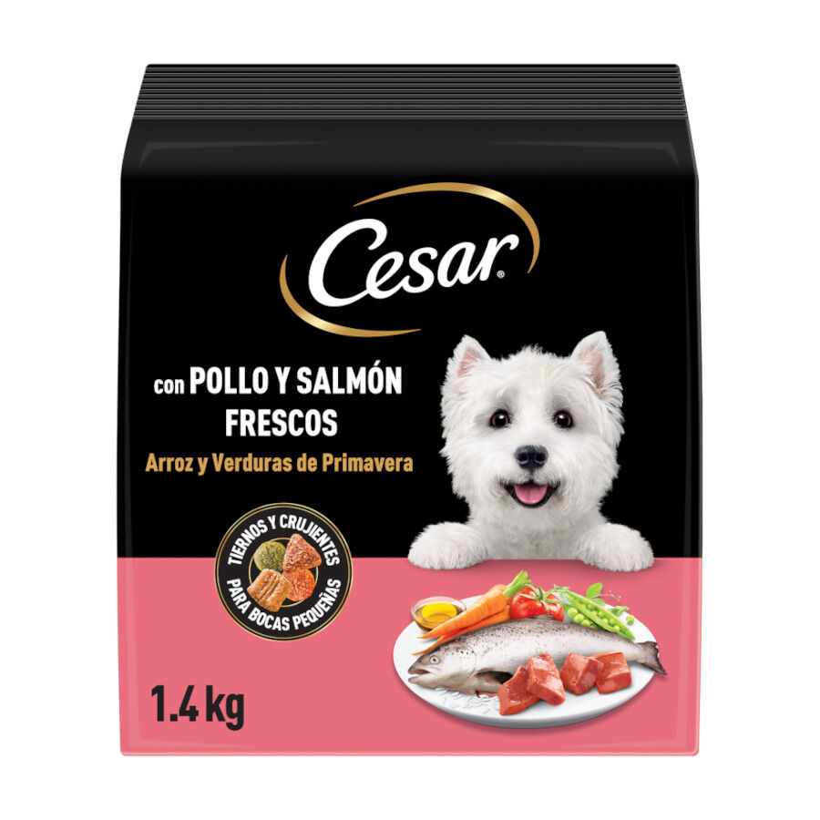 1.4 kg Cesar Frango e salm&atilde;o frescos ra&ccedil;&atilde;o semi-h&uacute;mida para c&atilde;es, , large Imagem n&uacute;mero 1