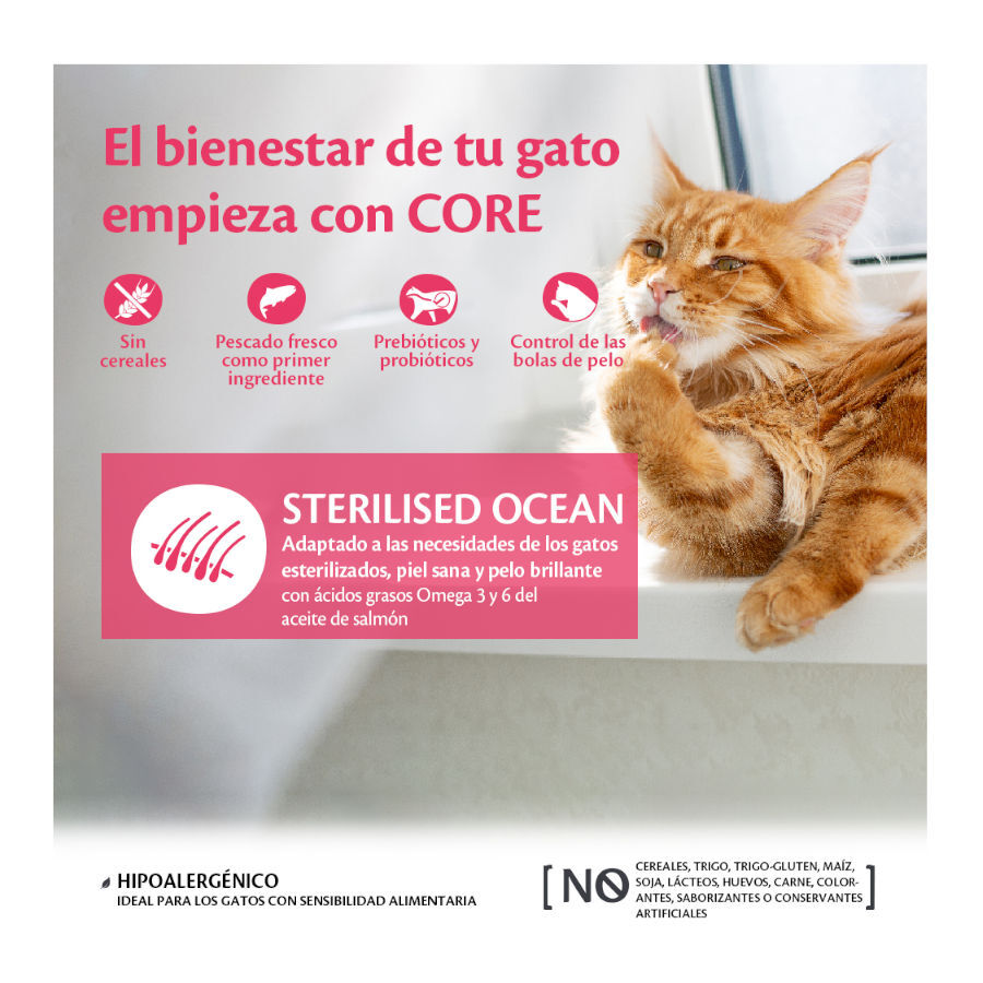 4 kg Wellness Core Adult Sterilised Ocean Salm&atilde;o ra&ccedil;&atilde;o para gatos, , large Imagem n&uacute;mero 2