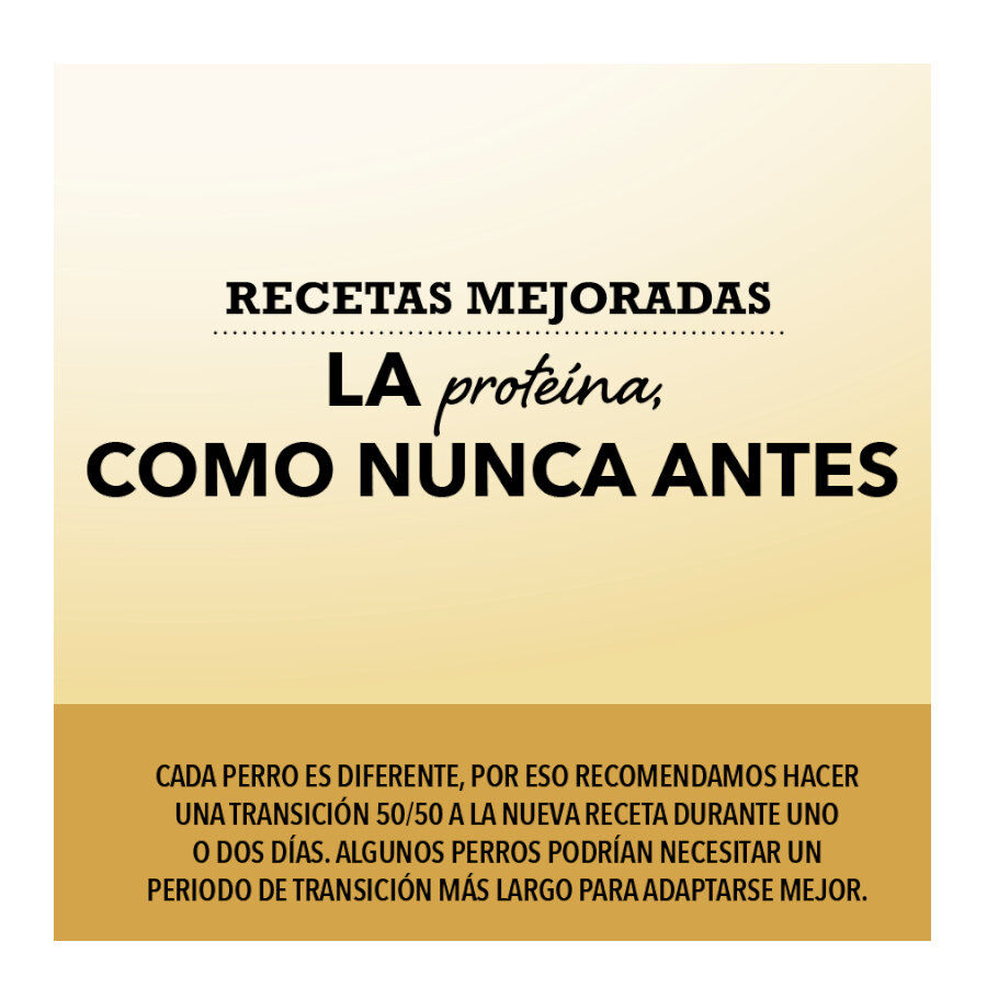 11.4 kg Acana Ranchlands Carnes Vermelhas Ra&ccedil;&atilde;o para c&atilde;es, , large Imagem n&uacute;mero 5