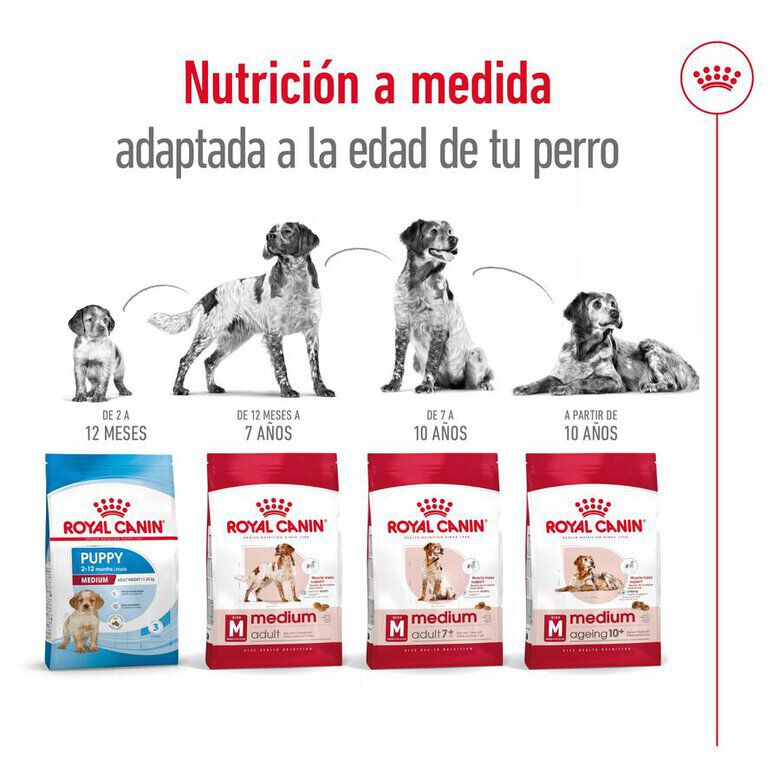 15 kg Royal Canin Medium 10+ Ageing ra&ccedil;&atilde;o para c&atilde;es, , large Imagem n&uacute;mero 9