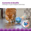 Outward Hound Catstages Hunt n’ Swat Treat Trumbler Rato interativo com penas para gatos, , large Indicador imagem número 4